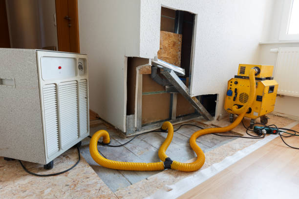Best Real Estate Mold Inspection  in Lakefield, MN